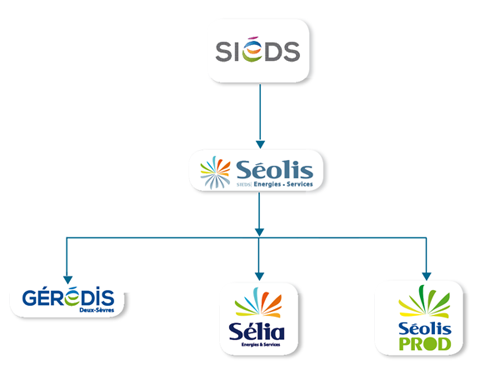 ACTIONNARIAT DU GROUPE SIEDS 2 ACTIONNARIAT DU GROUPE SIEDS 2
