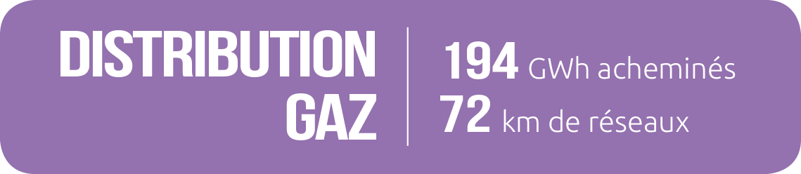 _distribution_gaz_2020 _distribution_gaz_2020