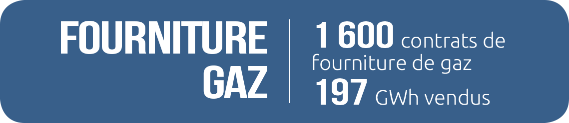 _fourniture_gaz_2020 _fourniture_gaz_2020