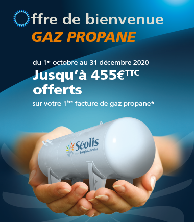 Encart_accueil_PART_GP_SEOLIS_10_2020 Encart_accueil_PART_GP_SEOLIS_10_2020