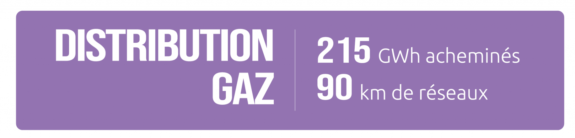DISTRIBUTION GAZ 2021 DISTRIBUTION GAZ 2021