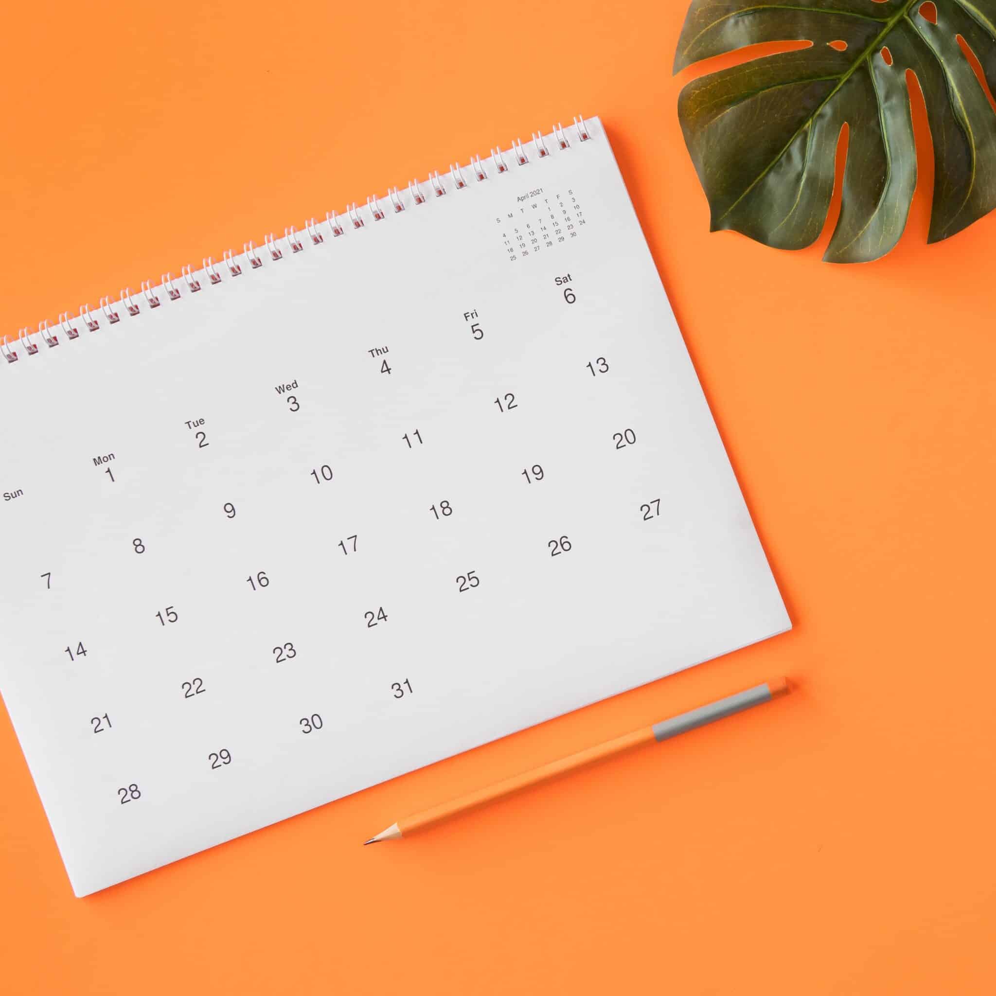 calendar-with-pencil-monstera-leaf